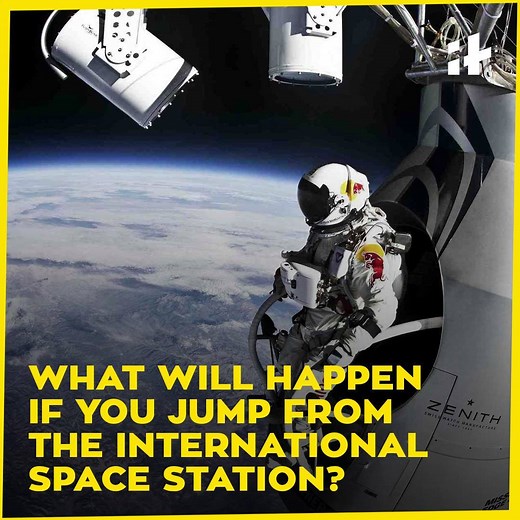 1.1M views · 1.6K shares | What will happen if you jump from the International Space Station? | Indiatimes | Facebook
