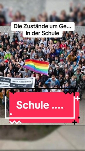 Die Zustände in den Schulen erklärt #schule #zustand