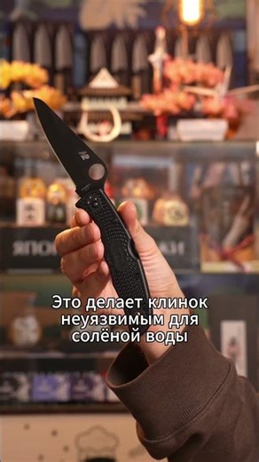 Spyderco Pacific Salt 2: A knife that is not afraid of water and rust.