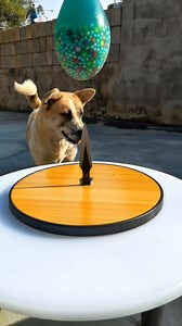 230K views · 349 reactions | Slowmotion video effect | Slowmotion King | Facebook