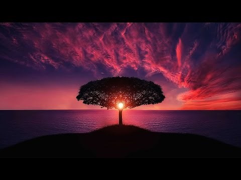 1 Hora Musica Relajante para Dormir y Meditar | Relajante Musica Instrumental de Fondo | Piano