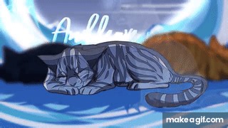 ◁ WARRIORS ▷ Jayfeather & Half Moon | Blind | PMV on Make a GIF