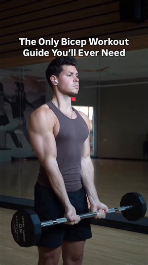 Brody Will | Online Fitness Coach on Instagram: "Full Bicep Workout Guide ⬇️ Pick one exercise from each category 💪🏼 Long Head: 1️⃣ Drag Curl 2️⃣ Seated Outward Curl 3️⃣ Seated Incline Curl 4️⃣ Bayesian Curl Short Head: 1️⃣ Concentration Curl 2️⃣ Wide Grip Barbell Curl 3️⃣ Spider Curl 4️⃣ Single Arm Preacher Curl Brachialis: 1️⃣ Dumbbell Hammer Curl 2️⃣ Cross Body Curl 3️⃣ Cable Hammer Curl 4️⃣ Single Arm Cable Hammer Curl I recommend doing 2-3 sets of each selected exercise for 8-12 reps! 💪�
