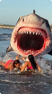El mega tiburón 🦈 en florida 🇺🇸 / broma #viralvideoシ #viralvideos #fblifestyle #fblifestylechallenge | Cristian Velasquez
