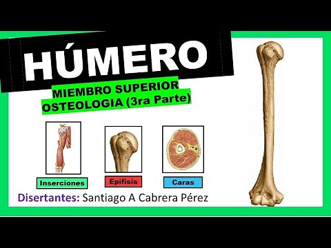 ▌HÚMERO ▌OSTEOLOGIA (3ra Parte) ▌MIEMBRO SUPERIOR ▌💀