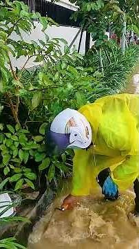 🚨 Extreme Street Flood Solved by Innovative Drain Rescue!