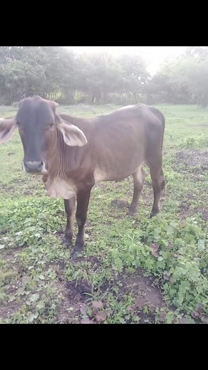 Ernesto Fernandez on Reels