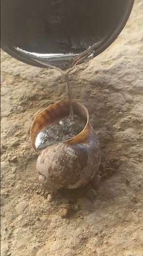 Home Aluminum Casting Project: Snail Shell #shorts #diy #reels #restoration