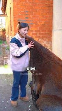 They Mocked Her for Picking Cowhide from Trash Then This Happened #shorts #food #asmreating #tiktok