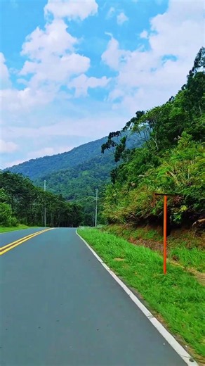 Beautiful Scenery in Quezon Province! 🌲⛰️