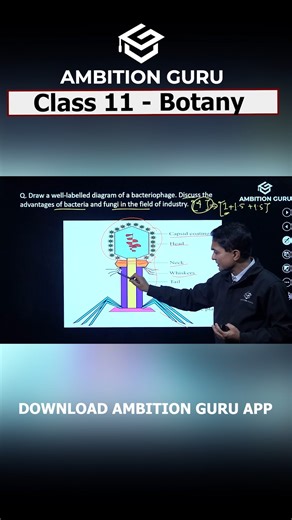 Class 11 Science Board Exam Focus Classes — Ongoing! Physics | Chemistry | Maths | Biology|Botany Prepare smart. Score better. Join now. Download the Ambition Guru app : https://tny.ws/AGEntrancePrep For More Information: 📞 Contact: 01-5970295 🌐 Visit: www.ambition.guru #Class12Science #NEBPreparation #AmbitionGuru | NEB 11 & 12 - Ambition Guru
