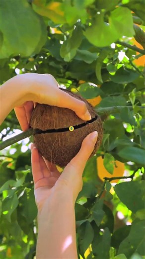 😳 🌱 5 Amazing Plant Growing Hacks You'll Love! 🤯 #shorts #gardening #viral