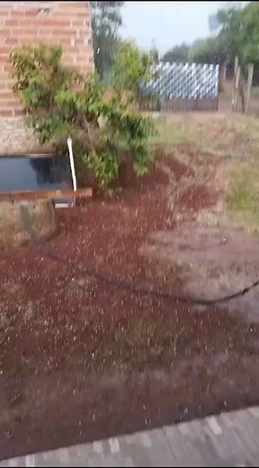 ⚠️|En Presidente Franco, departamento del Alto Paraná, se reporta sobre caídas de granizo. Video compartido por Ever Candia. | Info Alto Paraná Digital