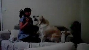 444 reactions · 252 shares | Awesome..Just Watch It ... | The Best Status Messages | Facebook