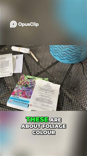 Stunning Coleus Varieties for Vibrant Container Gardens #shorts #ukgardening #coleus