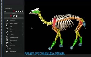 Duik 实用技巧教程 动物骨骼绑定 手掌动作绑定