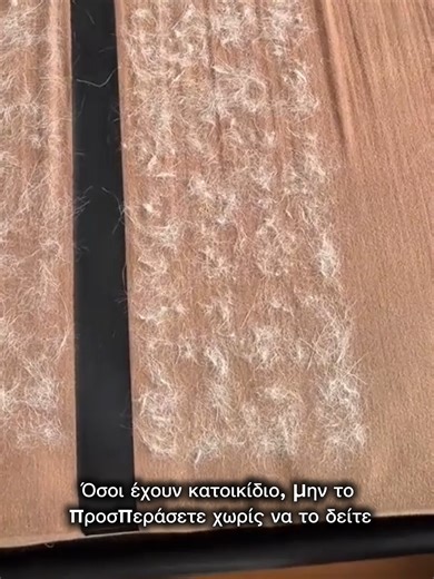 Τέλος στα ανεπιθύμητα τρίχες! Με τα γάντια συλλογής τριχών, μαζεύετε εύκολα τις τρίχες κατοικίδιων από καναπέδες, ρούχα και χαλιά. Γρήγορο, καθαρό και αποτελεσματικό! 🐾✨ #ΣυλλογήΤριχών #Κατοικίδια #Καθαριότητα #ΓάντιαΚατοικιδίων #ΚαθαρόΣπίτι #NoMoreFur