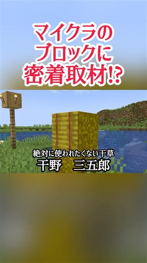 A close look at Minecraft blocks [Minecraft] #Gameplay