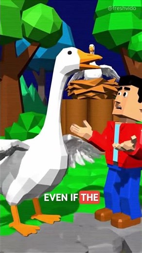 Why Geese Chase Humans So Aggressively 🪿⚠️