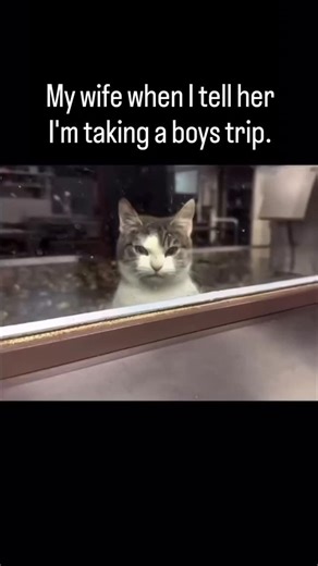 Thomas Ye on Instagram: "As I get older, I want to take more surf trips. Luckily, this post is only a joke. My wife is the coolest surf wife. Although she considers herself a surf widow."