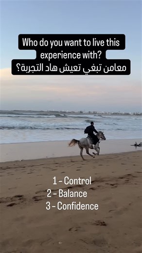 cavalier essaouira simo on Instagram: "This is not marketing. This is real performance. 3 riders. Different styles. One thing in common: control, balance, confidence. A saddle won’t change the rider, but the right one helps you unlock your best performance. 📩 Contact me for details. horse saddle performance, equestrian saddle Morocco, horse riding results, professional horse saddle, equestrian equipment Morocco, saddle for competition, horse training equipment, Moroccan equestrian, riding saddl