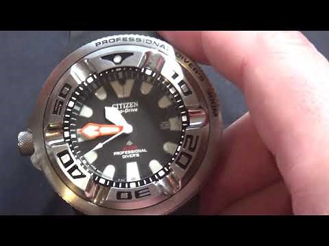 Citizen Ecozilla Review / Beast of the Deep Sea ?