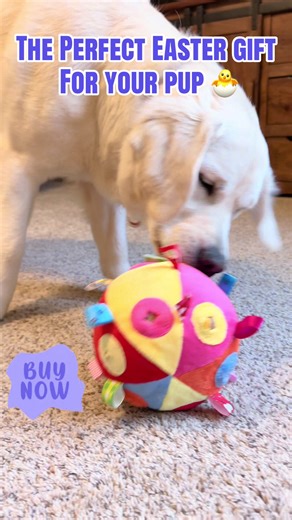 Regalo de Pascua perfecto: Snuffle Ball para perros
