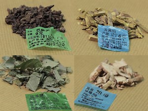 Preparation of Herbal Medicine: Er-Xian Decoction and Er-Xian-containing Serum for In Vivo and In Vitro Experiments