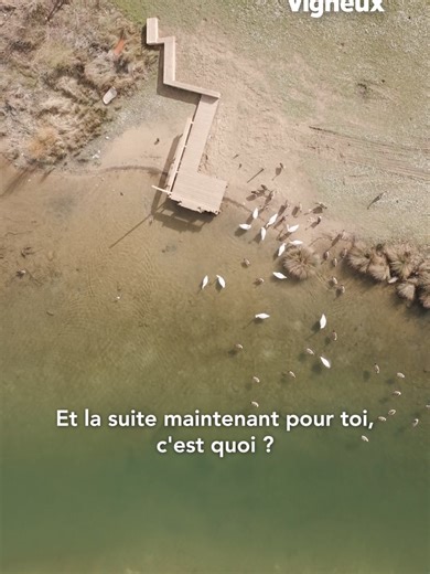 La préservation de notre environnement et de nos espaces naturels est un enjeu important pour l’avenir de notre ville. Le lac Montalbot en est un exemple concret. Après plusieurs années de travail, ce site a été entièrement dépollué afin de permettre aux Vigneusiens et aux Vigneusiennes de se réapproprier cet espace naturel remarquable. Ce projet a mobilisé plusieurs partenaires, notamment la Communauté d’agglomération Val d’Yerres Val de Seine, le SYAGE et le CAUE de l’Essonne, qui ont accompag