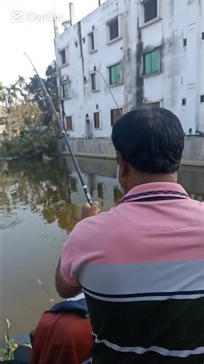 অভিজ্ঞ শিকারী মহসিন ভাইয়ের একটি হিট দেখুন। shorts#hookfishing#fishlovers#মাছ ধরার ভিডিও #