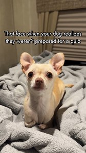 I thought this was a no-homework household??? This is false advertising 😤 | Gio and Emmy