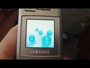 Samsung SGH-X610 Startup (On/Off)
