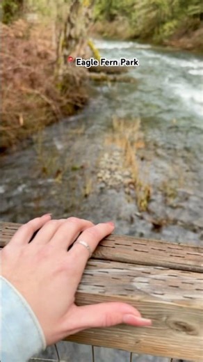 Hiking Trails 🥾 #portland #clackamas #hikingpaths