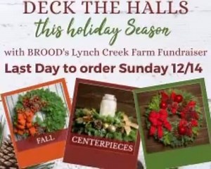 Order today, before the sale is over! Let’s deck those halls and help the hounds. Learn more at brood-va.org or the link in bio! #happyholidays #christmas #dogrescues | BROOD Basset Rescue of Old Dominion | Facebook