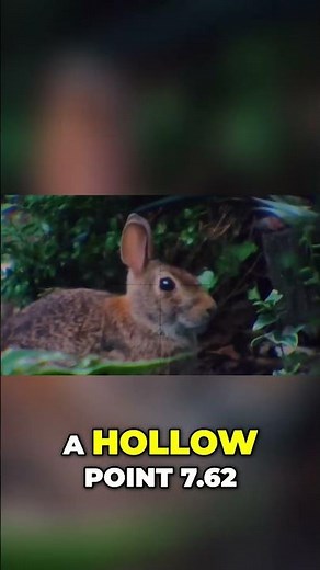 7.62 vs Rabbits - Watch the Explosive Results!