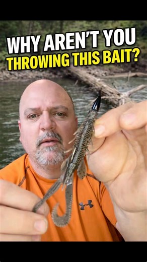 Best Place to Flip a Boar HogZ (NOGrass)