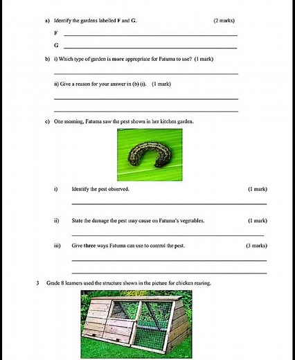 KNEC SBA Agriculture Grade 8 October 2025 | KNEC CBC Question and Answer
