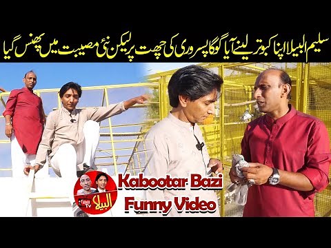 Saleem Albela came to Goga Pasroori to get his pigeon very funny video