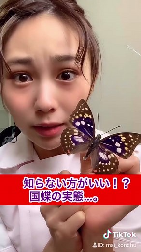 国蝶に認定されているオオムラサキ…。この美しい見た目とは裏腹に…！？#オオムラサキ#昆虫#美人看護師#福井県出身