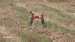 9.7K views · 130 reactions | by sooperdave | Real Life Doodles | Facebook