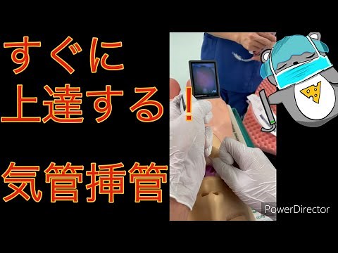 [Tracheal intubation] Procedures and tips ❗️ Explanation of why the tube does not progress ❗️❗️