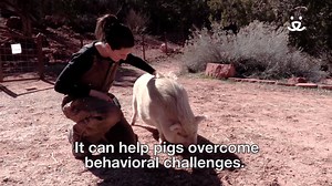 16K views · 655 reactions | Target stick practice is an important...