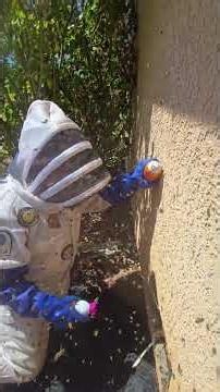 they like us not at all #killerbeeguy #invasivespecies #killerbee #honeybee
