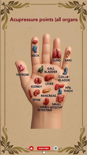 Acupressure Points for All Organs | Heal Your Body Naturally Without Medicine #acupressure