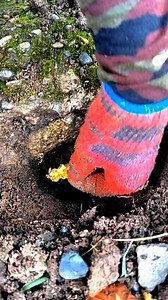 85K views · 875 reactions | Digging up for huge gold nugget | GO finder | Facebook