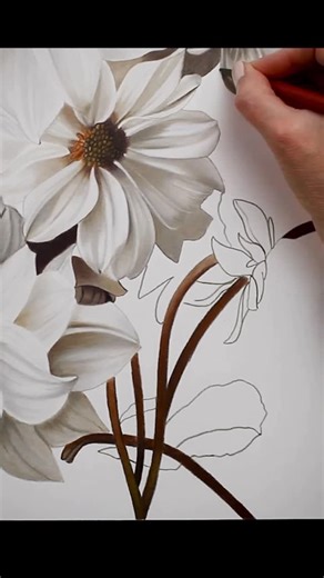 Jennifer Morrison on Instagram: "Drawing a Fall Floral Still Life with colored pencils. I hope this inspires you to draw this fall! . . #floralart #stilllife #drawing #advancedcoloring #coloredpencilpainting #coloredpencildrawing #drawingvideo #speeddrawing #blickartmaterials #prismacolor #legionpaper"