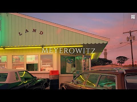 The Street Photography of Joel Meyerowitz.