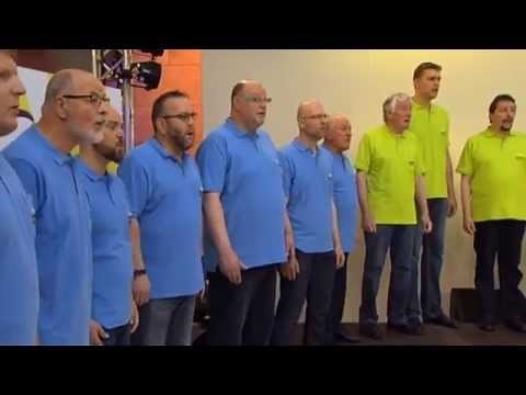 Choir - The Lion Sleeps Tonight (O Rei Leão / The Lion King) - Kemper WerksChor
