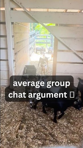 These Goats Are Having Full Conversations 😂🐐 | Funny Goat Sounds