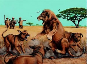 Hunting Dogs Tribute